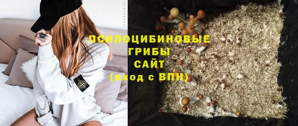 прущие грибы Алексин
