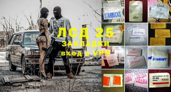 прущие грибы Алексин